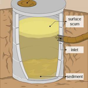 septic tank care
