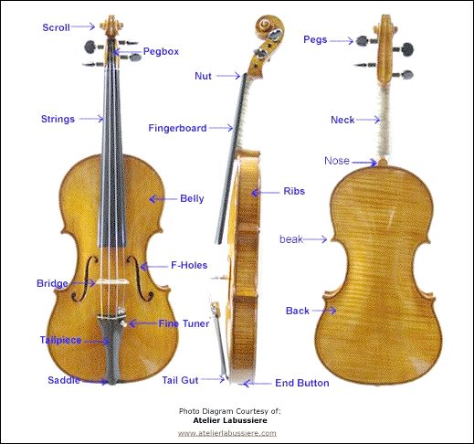 The Violin: The Art Behind the Sound – USC Viterbi School of Engineering