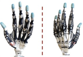 The Magic Touch: Human Anatomy Inspires Robotic Hand Design