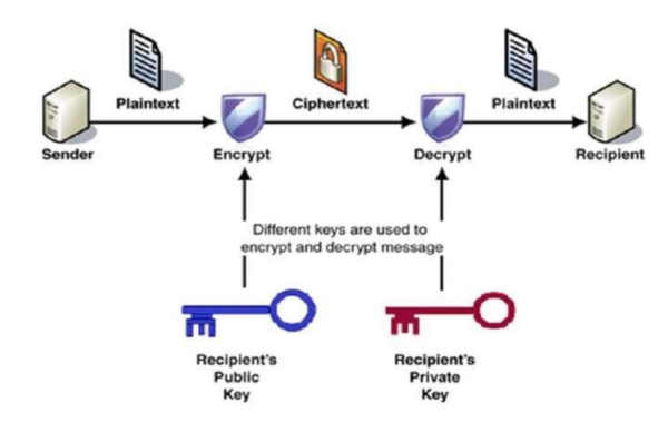 explain case study in cryptography and security