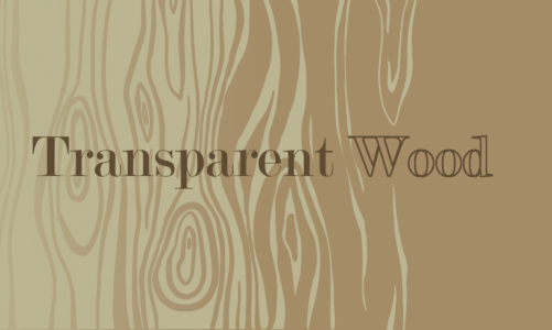 Transparent Wood